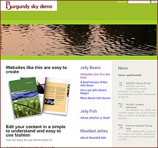 demonstration site screenshot